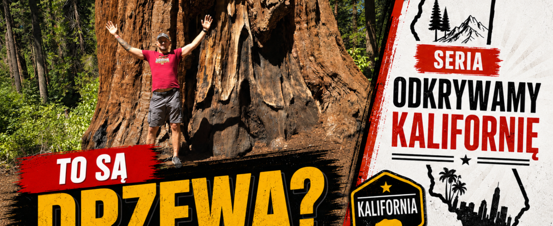 Calaveras Big Trees State Park – camping wśród gigantycznych sekwoi w Kalifornii